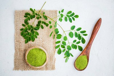 برگ خشک مورینگا اولیفرا طب جو برگ گیاه دارویی مورینگا اولیفرا طب جو 